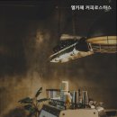 엘카페