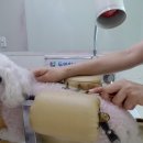 다올한방병원 이미지