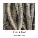 여울목 아쿠아 이미지