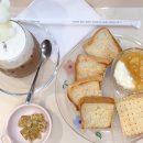 견생공감 이미지