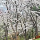 연암도서관 앞 이미지