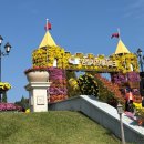 이디야커피 전북 임실점 | 전북 임실치즈테마파크🧀 국화 전시기간 방문 후기🩷💛