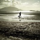 삼바 파고지 이미지