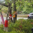 구포2동-3 이미지