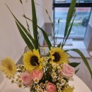 몽비쥬 펫살롱 이미지