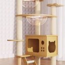 냥이의꿈 이미지