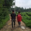 풍원농장 이미지