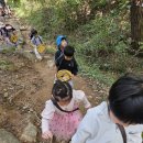 🩷잎새들과 함께 하는 분성산 숲 활동(먹이사슬)💚 이미지