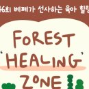 힐링 포레스트 이미지