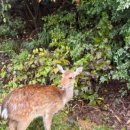 등마루식당 이미지