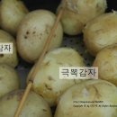 무동농장 이미지