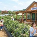 아름다운밀양농장 이미지