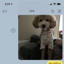 티거야 사랑해 초곡점 네이버블로그