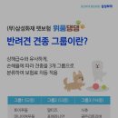 위풍댕댕 이미지