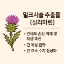 주)골드리버 | 대웅제약 리버골드파워 효능·부작용 총정리! 간 건강을 지키는 현명한 선택 🌟