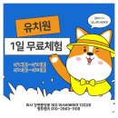 애견호텔 나무야 | 하남 애견카페 미사 애견 유치원 멍프렌즈 호텔 알아봤죠