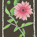 전주시 완산구청 이미지