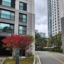 김유미공인중개사사무소 이미지