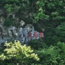 나루터로 15 | 백제역사탐방 구드래나루터선착장-고란사선착장 백마강부여유람선 예매 승선 운항 정보