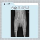 조양래 동물의료센터 이미지