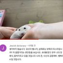 쥬뗑뷔뜨