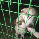 썬댄스펜션 | 강화도 썬댄스 펜션에 다녀온 솔직 후기