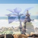 섬꽃향기 민박 이미지