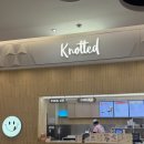 다라케이크 | 노티드케이크 마스포카네치즈케이크 부산롯데본점 당일예약 픽업 후기