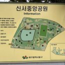 대구 동구 혁신도시 신서중앙공원 핑크뮬리 보고 왔어요 핑크뮬리 개화시기 10월 대구동구 가볼만한곳