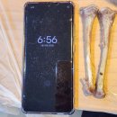 금송삼계탕 | 증평 맛집 [금송가든 한방백숙] 누룽지 백숙 :: 압도적 크기의 토종닭 보양식 솔직 리뷰🍗