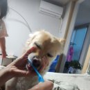 환승센터약국 이미지