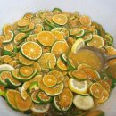 소녀농장 이미지