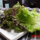 오계절포차 이미지