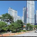 동수원약국 네이버블로그