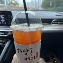 포철꽃농원 | 10월 기록 | 가을 하늘은 높고 나는 살찌는 계절, 충남 내포 맛집 소개, 그동안 다닌 곳 이곳저곳 보여드림