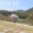 숲속반딧불펜션