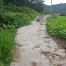 점암면사무소 이미지