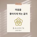 김인중 행정사 이미지
