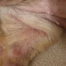 모아 동물병원 이미지