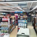 폴리파크 이미지