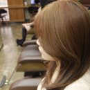 오렌지헤어클럽 - 도봉구 | 오렌지헤어클럽
