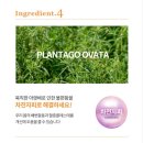 티앤 이미지
