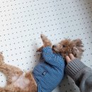 봉쥬르멍멍 이미지