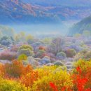 중앙로 17 이미지