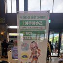 장유로 | 김해 롯데워터파크 아쿠아슈즈 필수일까? 현장 구매 금액 정보 및 맨발 도전 후기