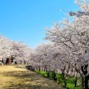 머슬팩토리24 사천본점 이미지