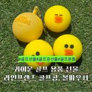 귀여운 골프 용품 선물, 라인프렌즈 샐리골프공 &amp; 샐리니 볼파우치 사용 후기