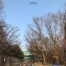 한국스포츠정책과학원 버스정류장(11152) | [서울 스케이트장] 태릉국제스케이트장 후기 (시간 및 비용)