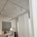 제니의통증관리테라피 | 문정동 마사지의 새로운 명소, 제니의 통증관리 테라피에서 혈액순환 마사지 체험
