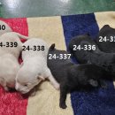 안골로108번길 이미지